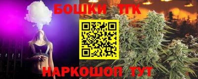 тгк Обь